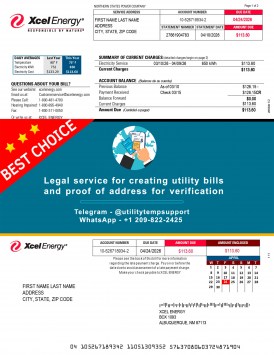 Wisconsin Xcel Energy utility bill template